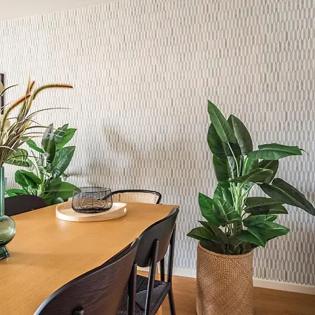 Akicity Entrecampos Elderberry Lisboa