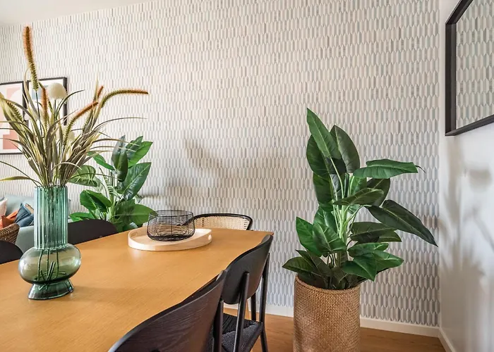 Akicity Entrecampos Elderberry Lizbona