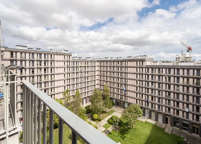 Akicity Entrecampos Elderberry *