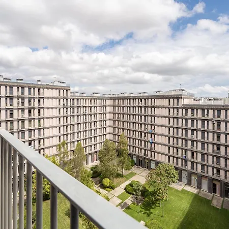 Akicity Entrecampos Elderberry *