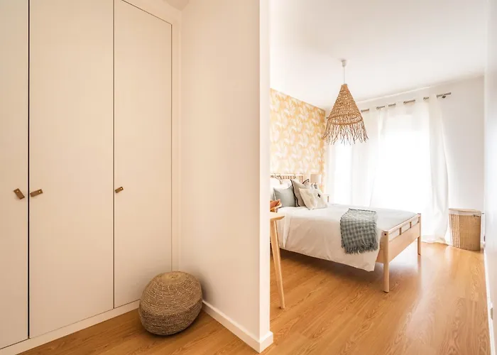 Akicity Entrecampos Elderberry *